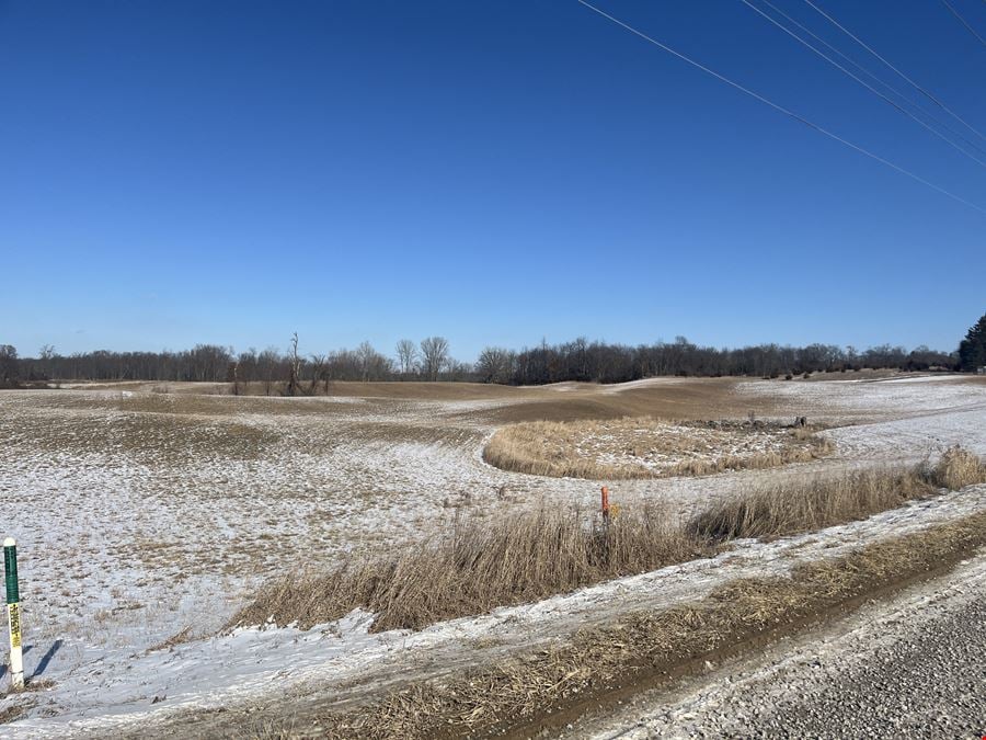 49.86 Acres AG Vacant Land in Chelsea