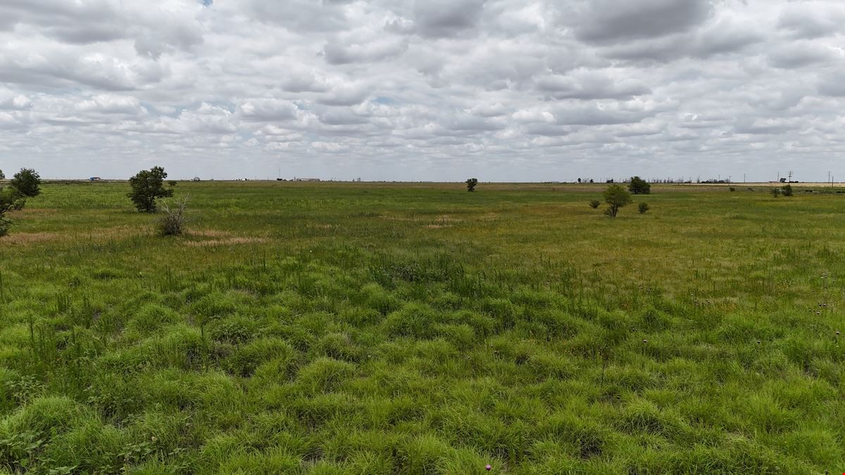 Hale County, 52 Acres