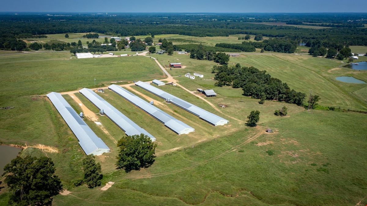 Hope Arkansas Chicken Farm