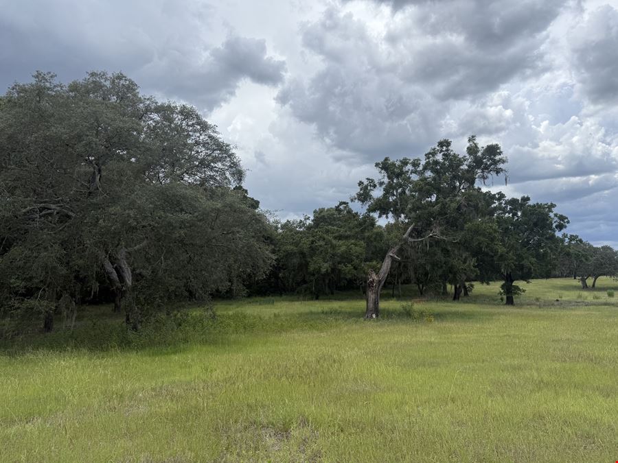 29± Acre Marion County Ranchette