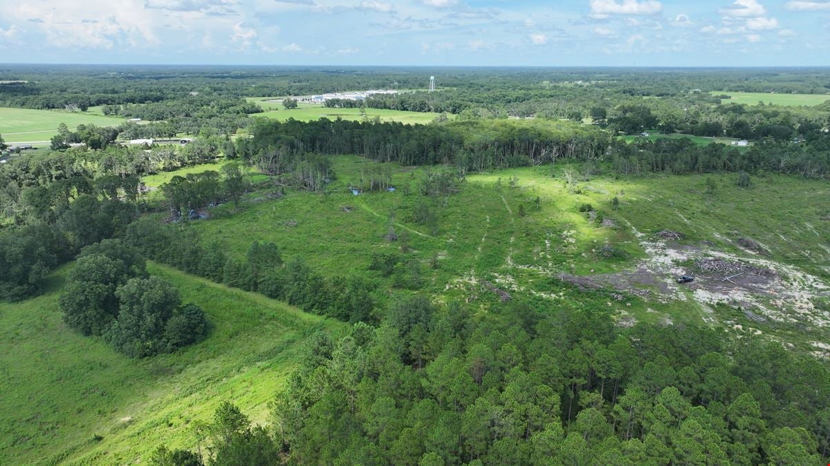 Graceville Longview Farm