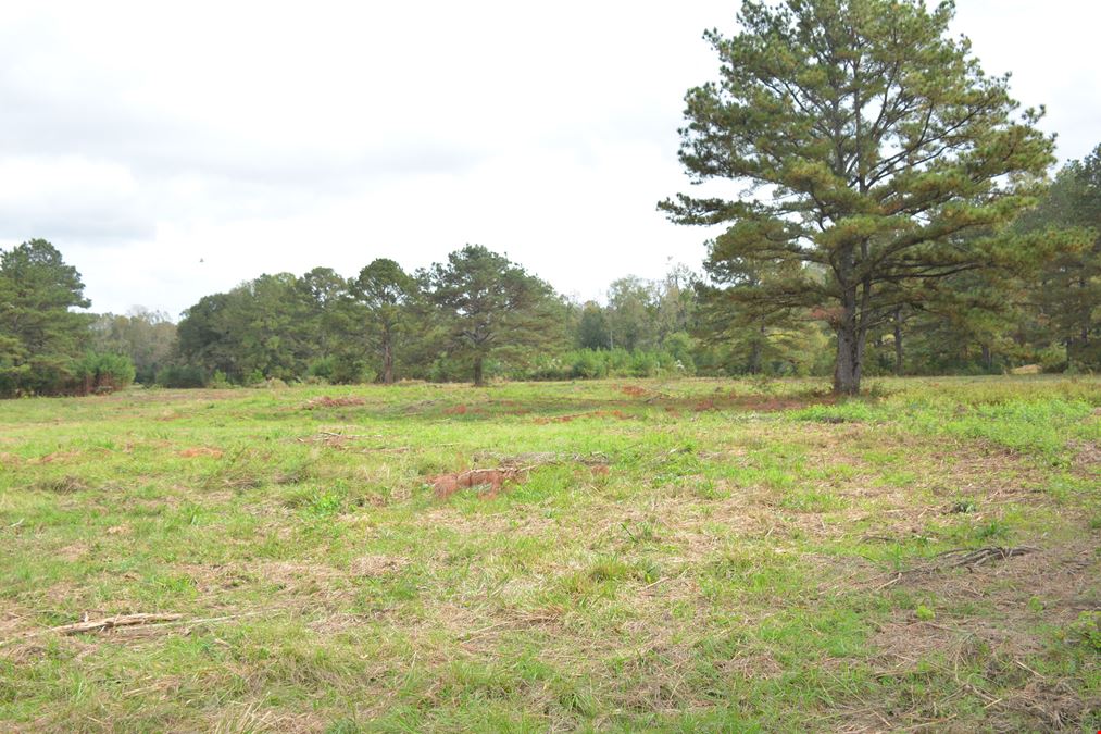 2941 Louisiana 19
