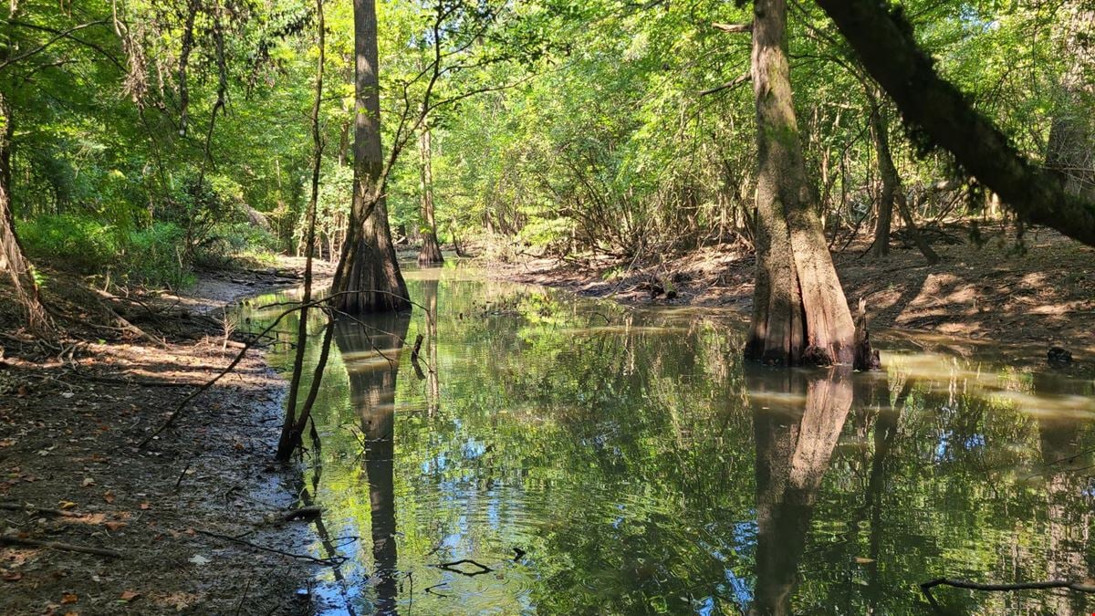 Austill Ferry Tract