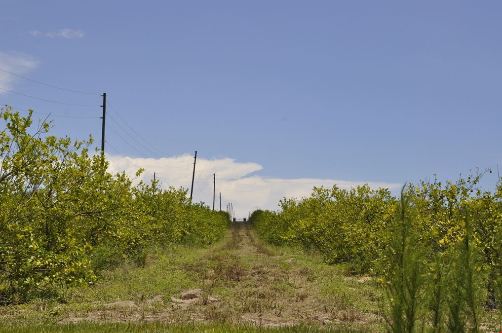 Dundee Lakes Residential Land