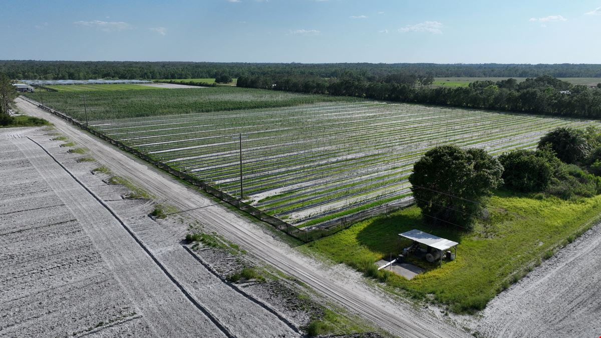 Manatee County Farmland