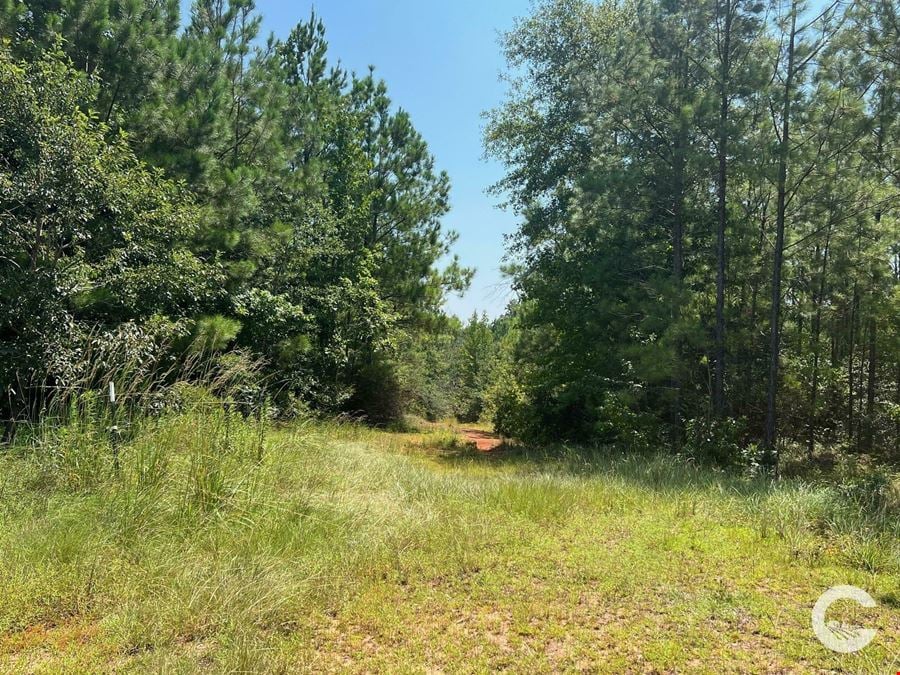 256 +/- Acre Investment Opportunity in Brewton, AL