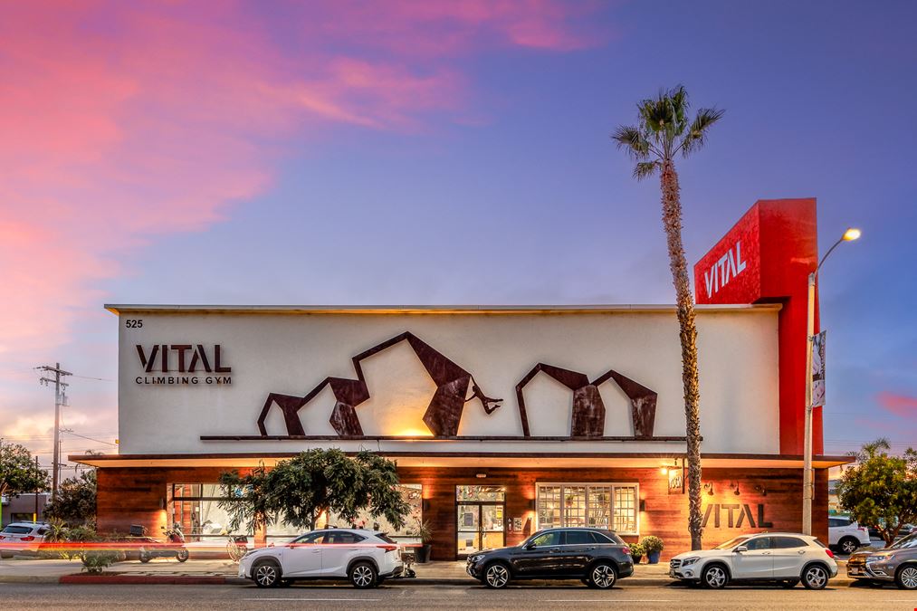 Vital Climbing Gym
