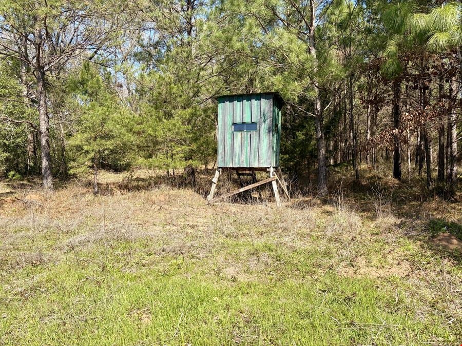Sawyer Lane Hunting and Timber Tract
