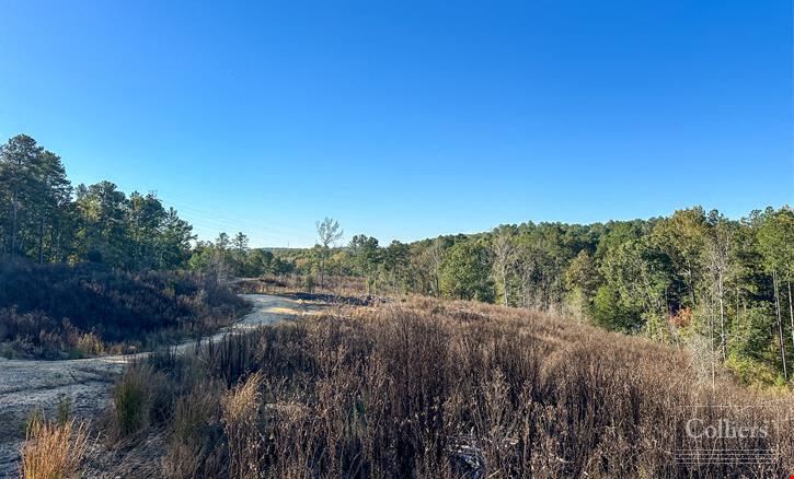 ±120.19-Acre Timber & Recreational Tract Available | Winnsboro, SC