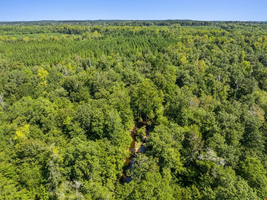 Recreation Land for Sale