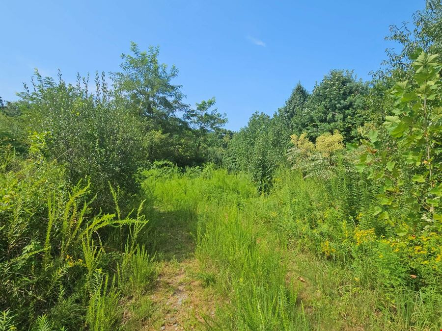 522 Buckeye Access Road