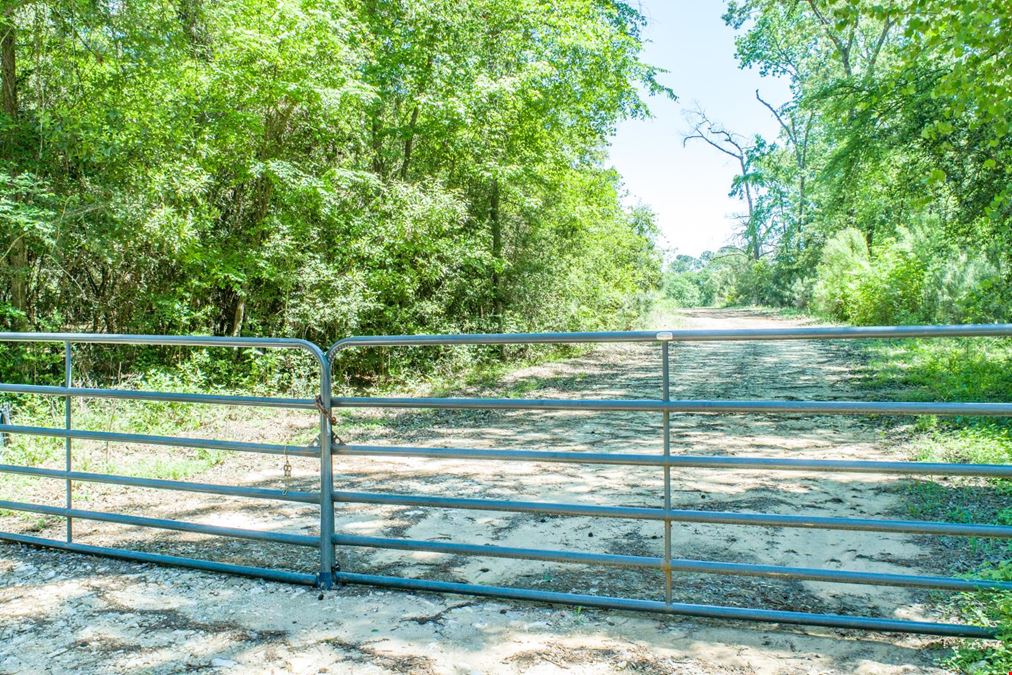 965 South Pine Lake Road
