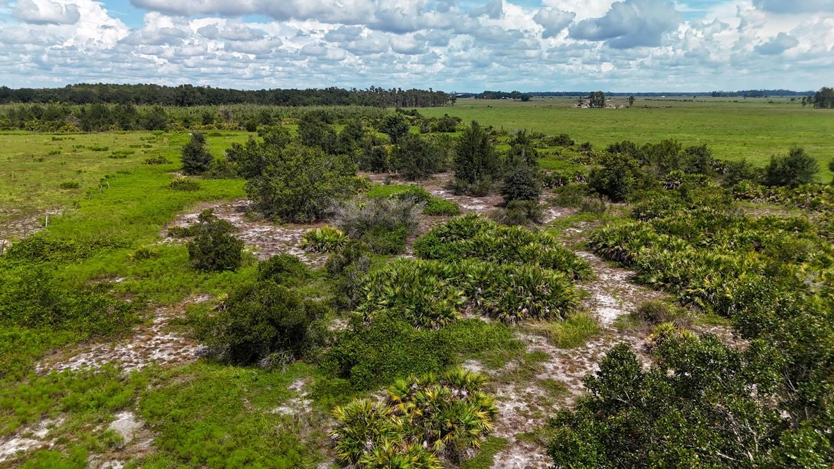 Hopkins Lane 7 Acres