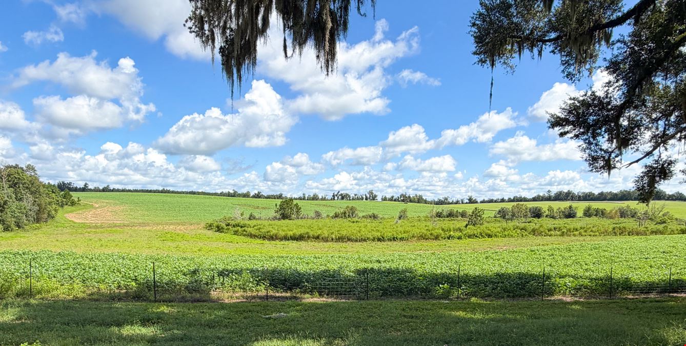 Lake Rachel Ag Land