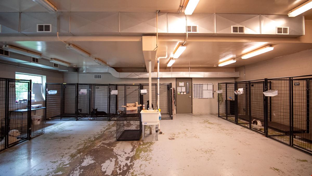Functional Space in Rochester’s Lowertown
