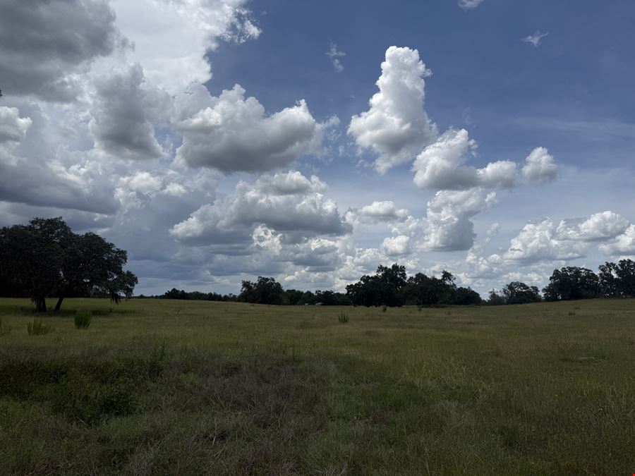 29± Acre Marion County Ranchette
