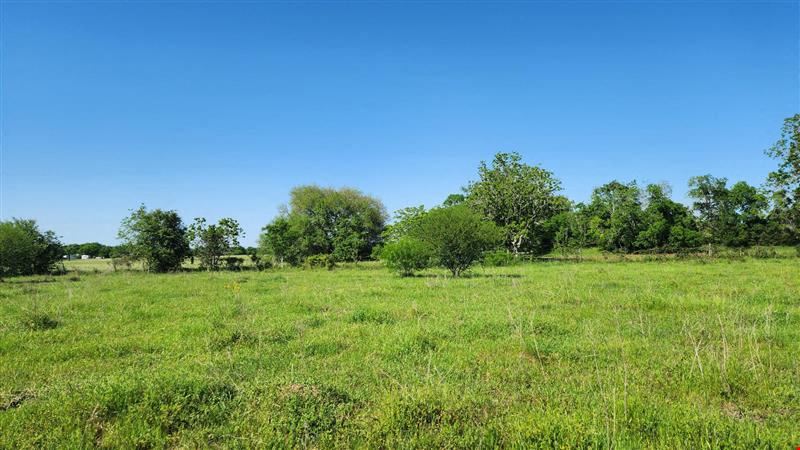 Four Adjoining Lots in Pattison