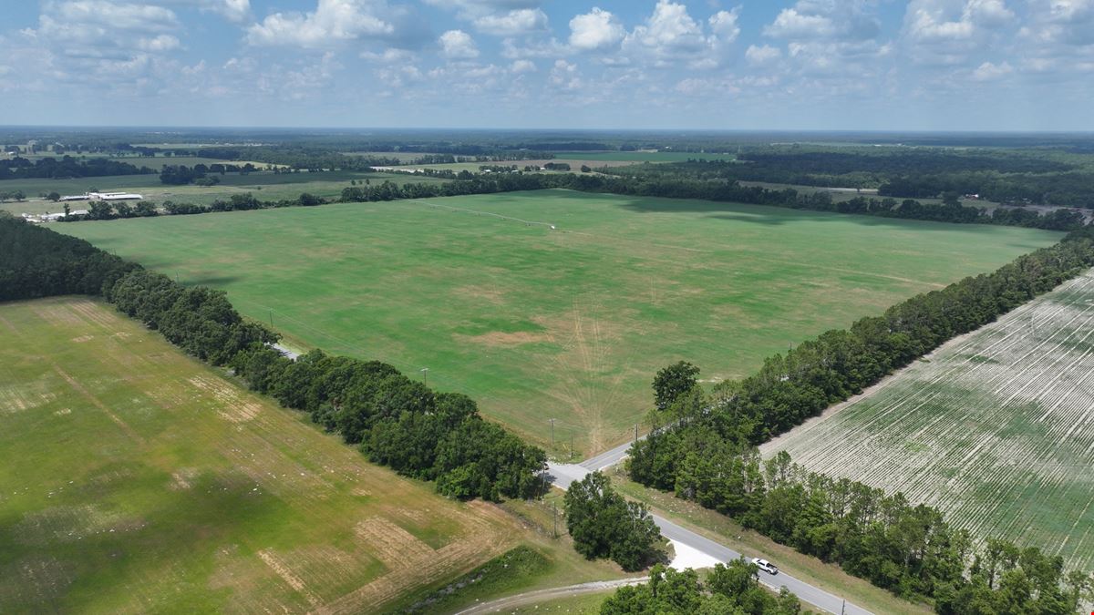 Suwannee County Quarter Section Farm