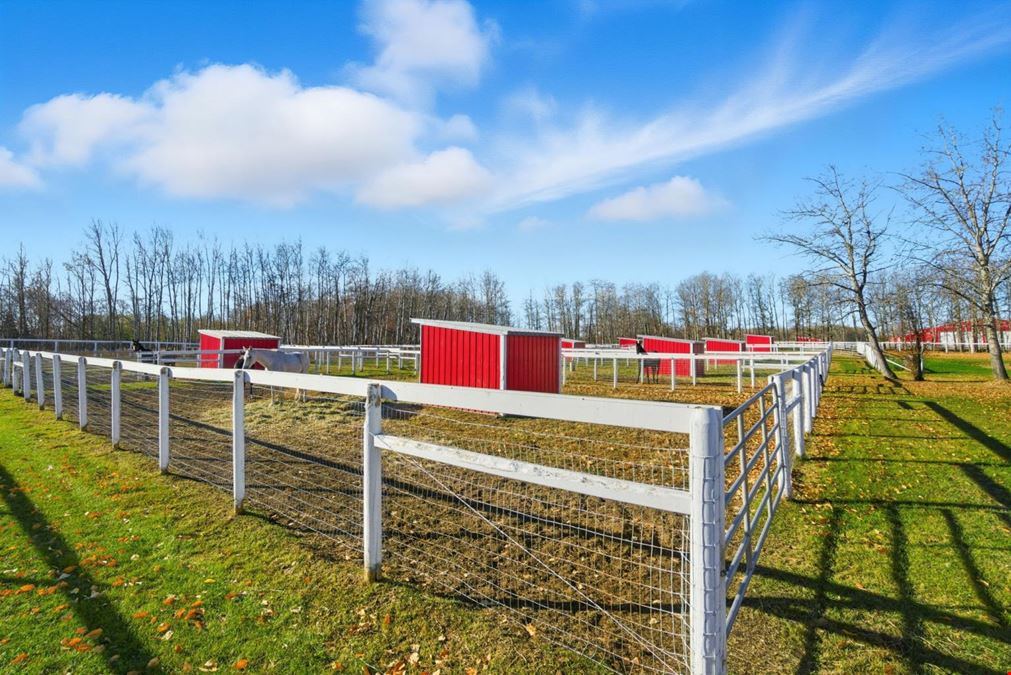 World-Class Equestrian in Central Alberta (Canada)
