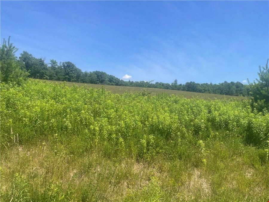 Schlafer Rd
