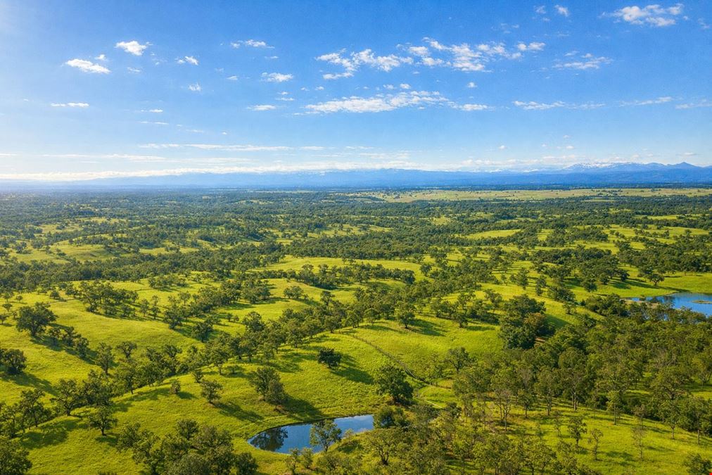Nine Mile Hill Ranch Red Bluff
