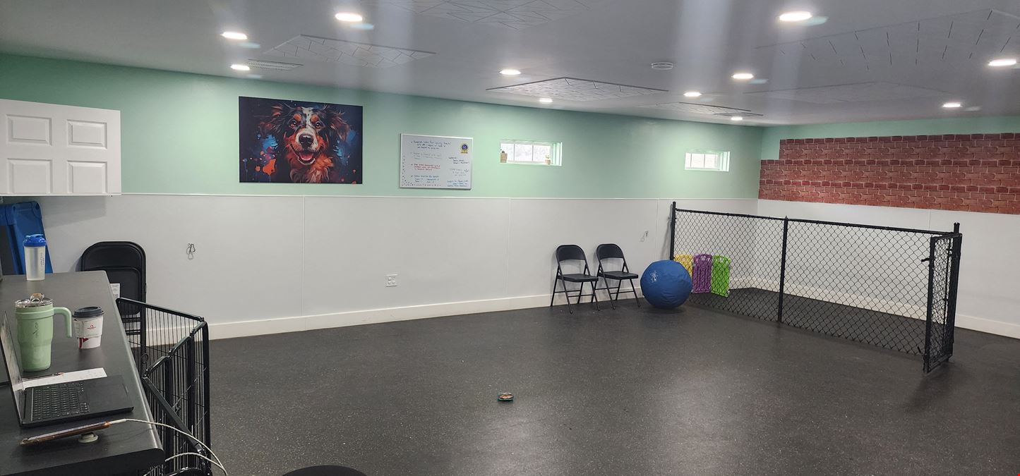 Dog Training Facility