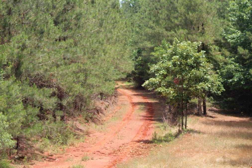 +/- 323 Acre Wooded Tract - Saluda County SC