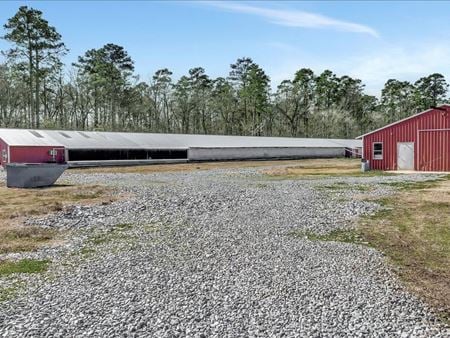 Preview of commercial space at Tyson Breeder Farm