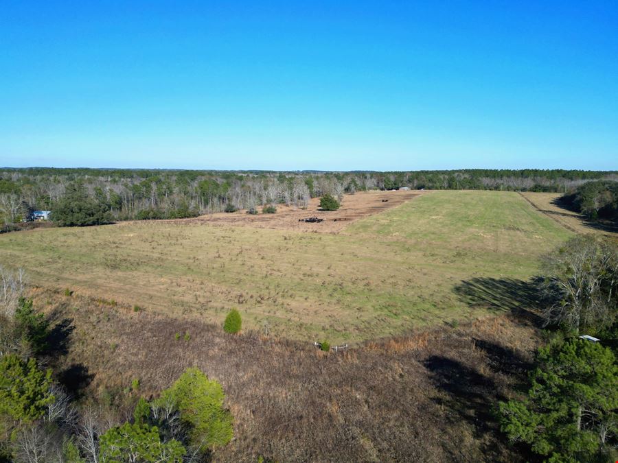 Secluded 240-Acre Cattle Farm in NE Holmes County, FL with Creek, Hunting Opportunities & Nearby Amenities