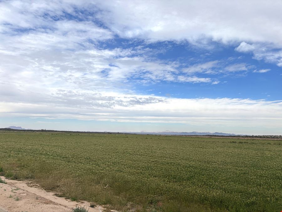 Pump Farm: 272.74 Acres, Corner of Avenue 43 ½ E and County 7th Street