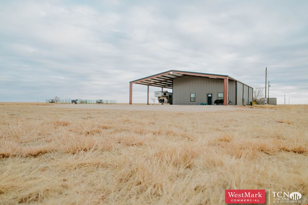 West Texas Horse Property/Cattle Operation Investment Opportunity