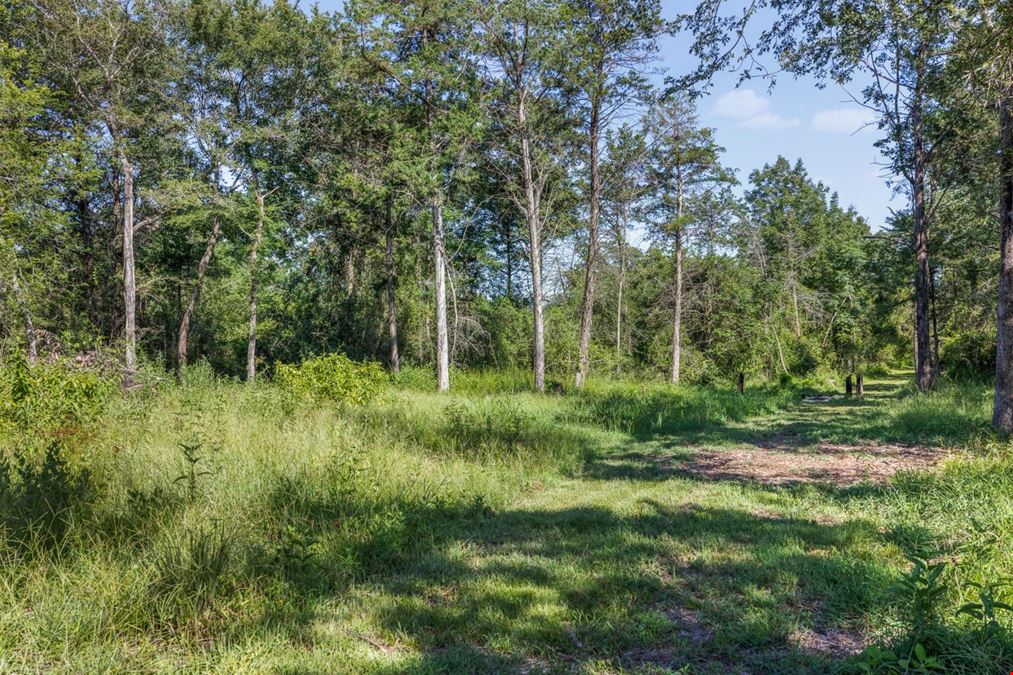16135 Wilson Pasture Road