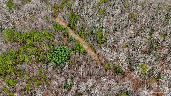 ±105-Acre Recreational Tract with Practical Homestead Sites