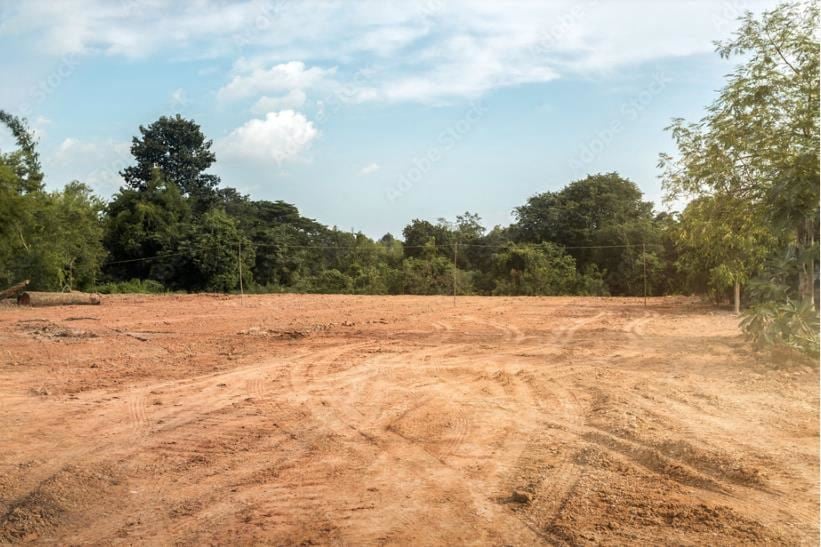 5533 126th Avenue- 2 parcels (11.14 Acres)