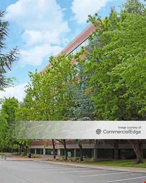 Five Centerpointe
