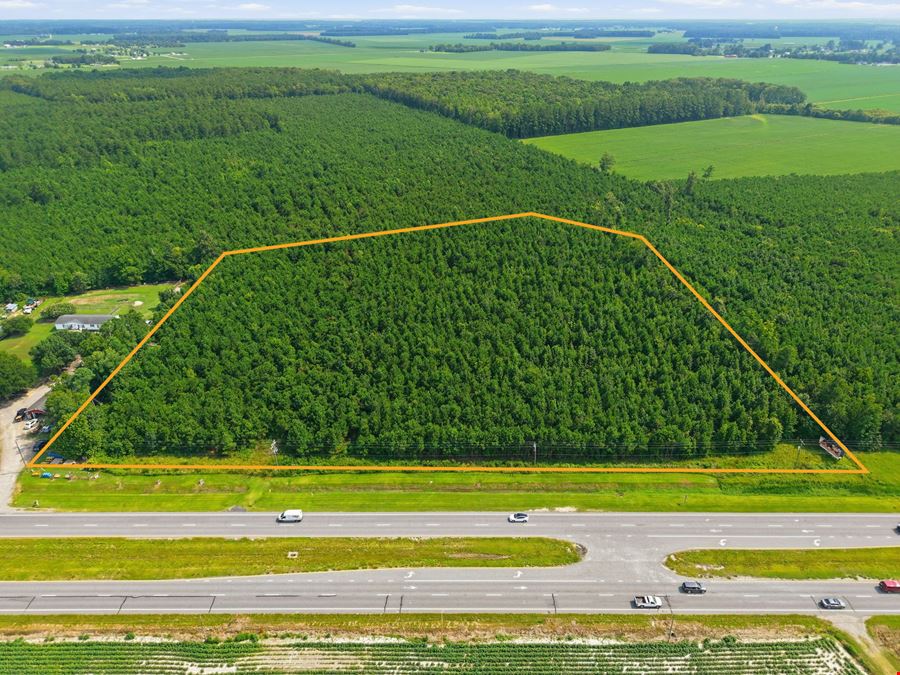 Prime Commercial Development Land on US Highway 17 | Hertford NC