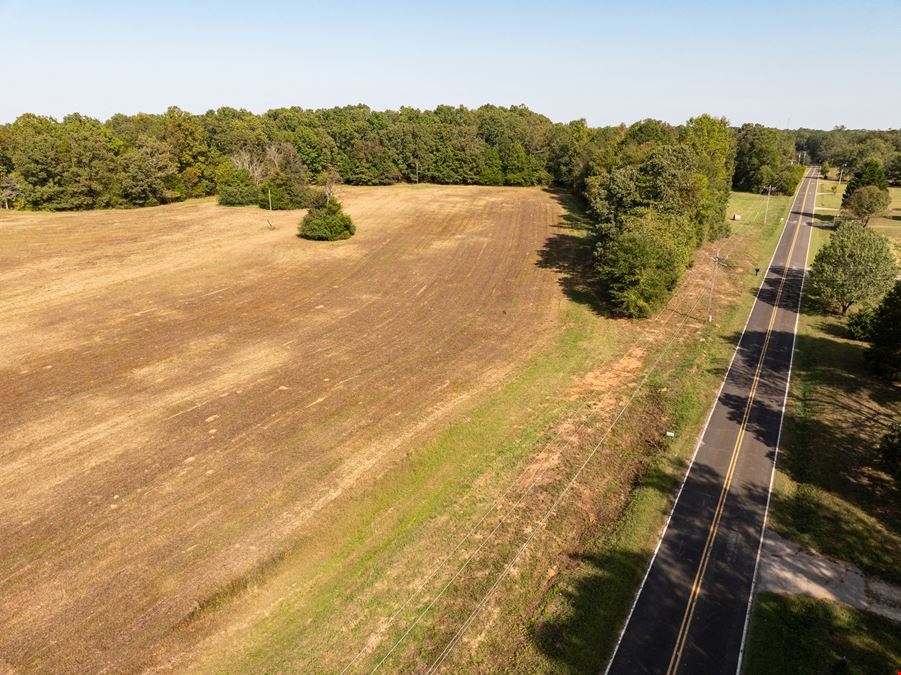 Chapman Branch Farms