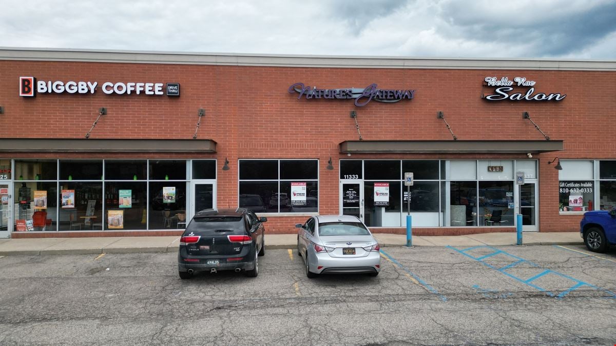 Hartland Pointe Plaza