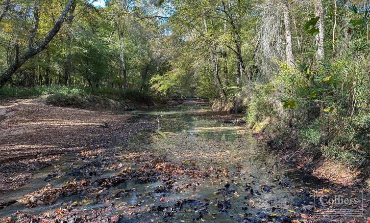 ±120.19-Acre Timber & Recreational Tract Available | Winnsboro, SC