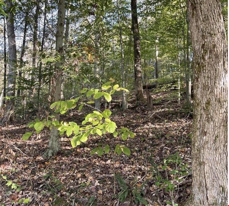 Gracie Lane Acreage