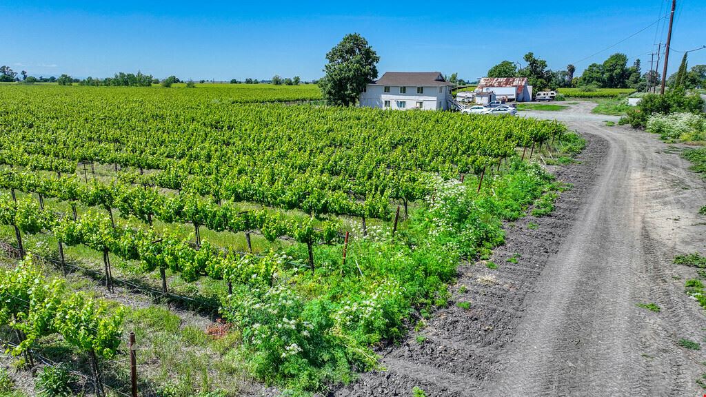 Clarksburg Vineyard Land