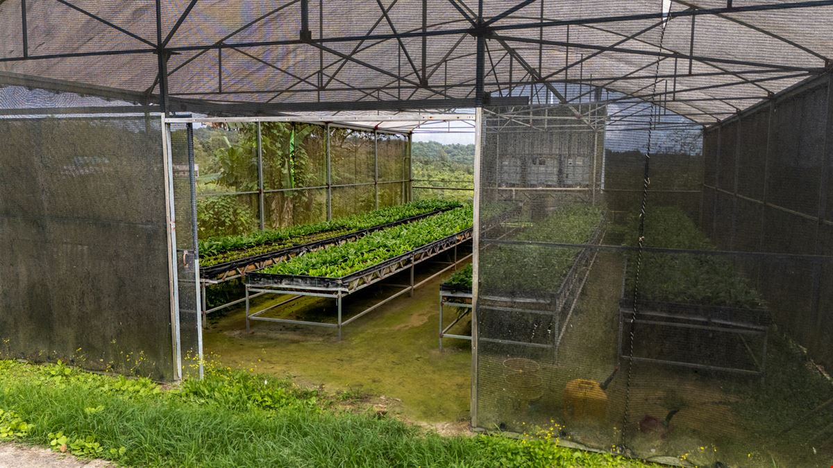 Turnkey Agricultural Operation w. Eco Tourism Potential @ Hacienda Montesol - For Sale