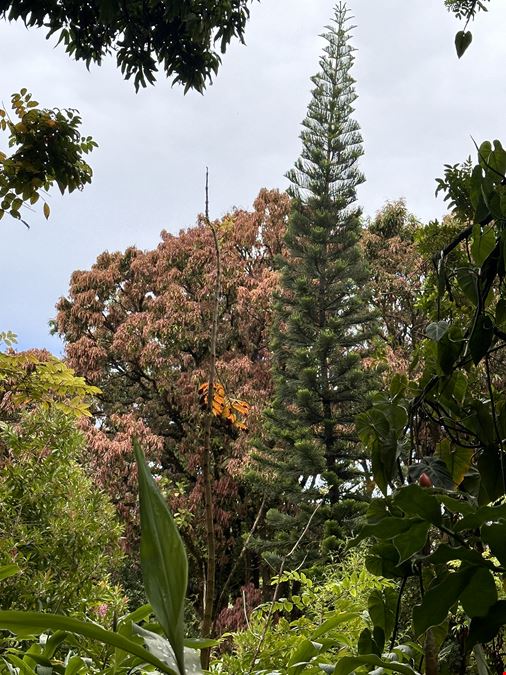 Hana Highway, Hana, HI 96713