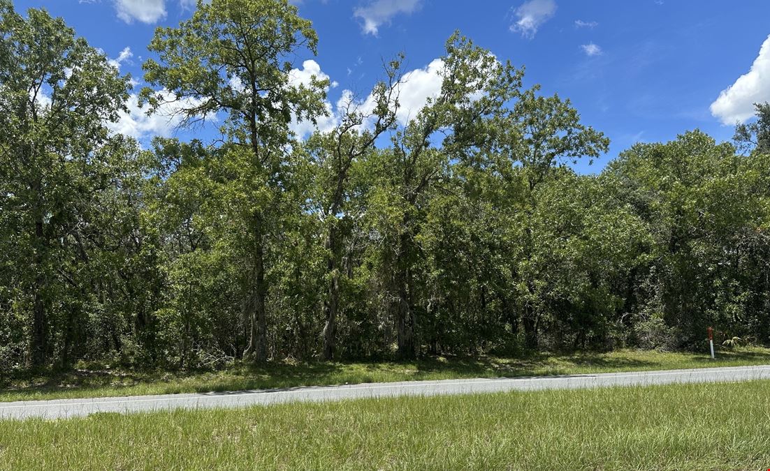 Marion Oaks Commercial Lots