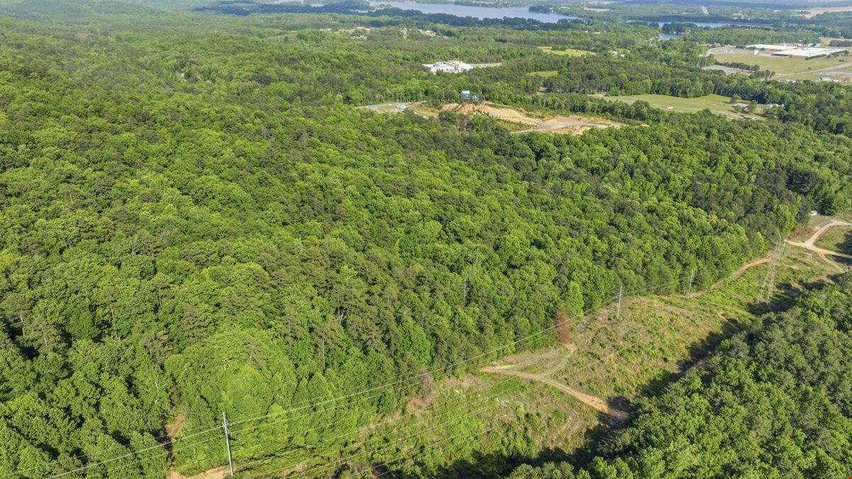 Bristow Gap 39 Acre Recreational Tract