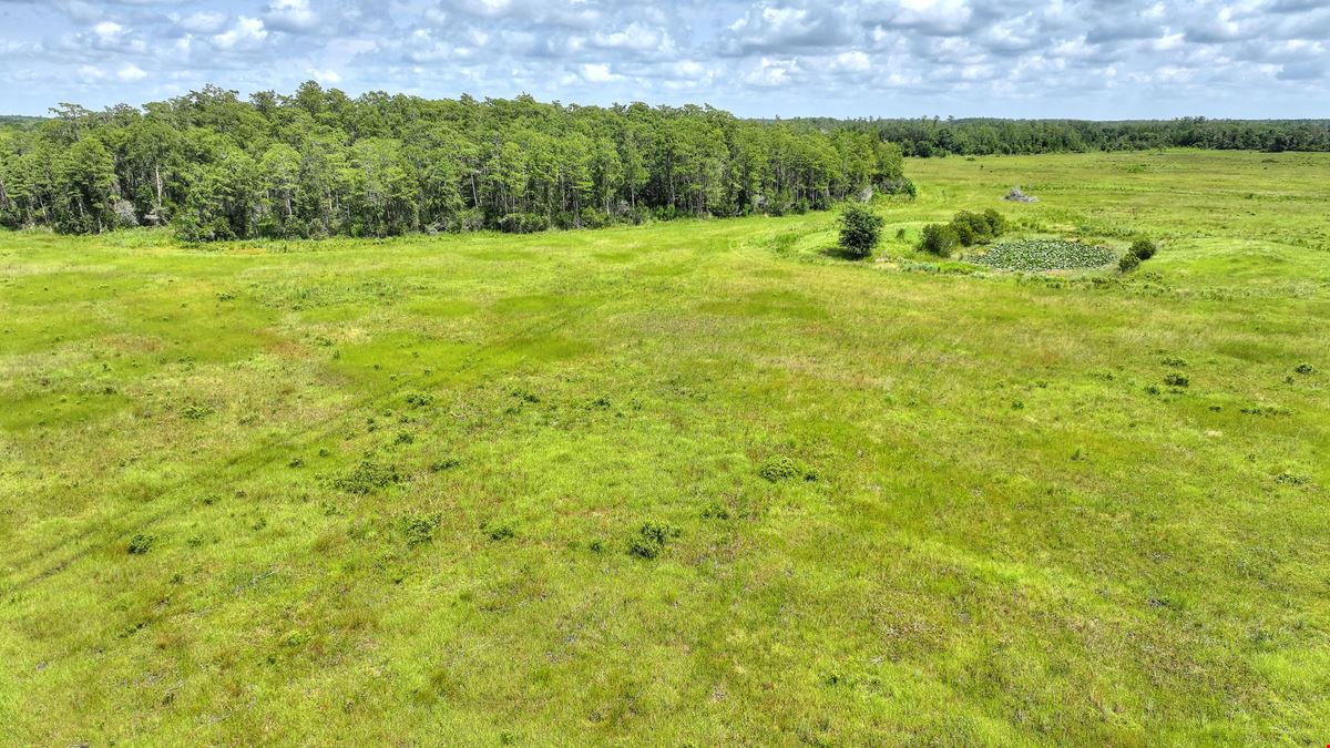 Osceola County Hunting & Recreational Tract