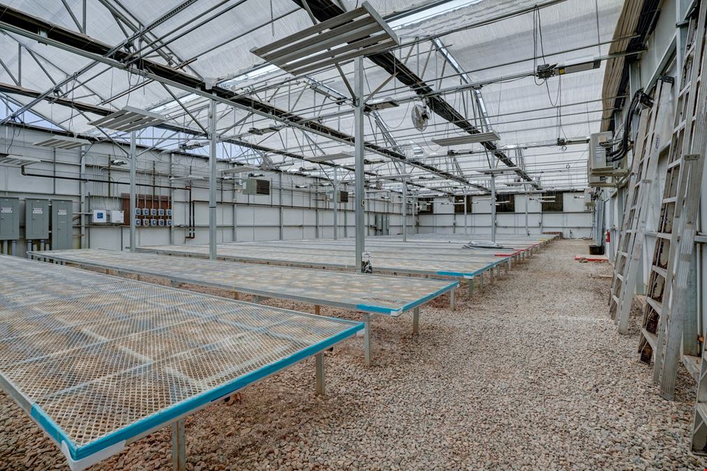 42,300 SF Flex Greenhouse Facility in Prescott Valley