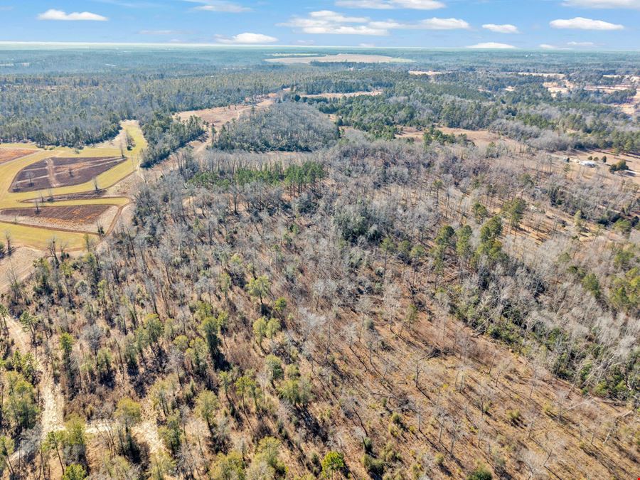 221 Acres | 3.14 Acre Pond | Hephzibah, GA