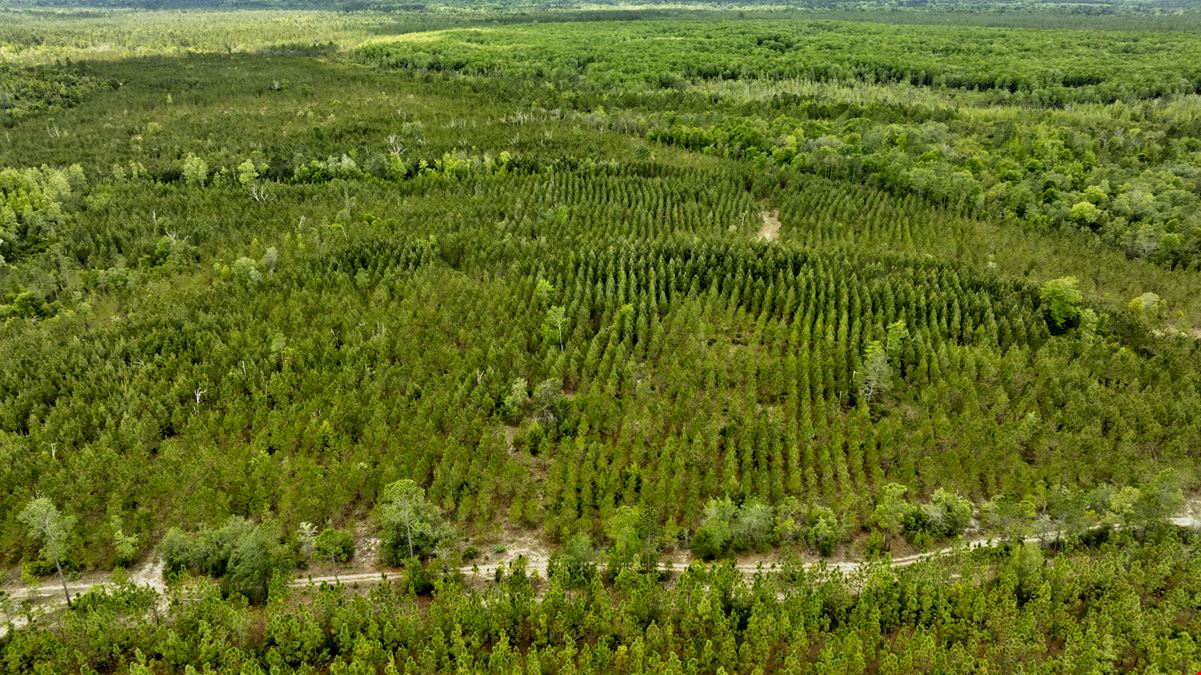 Timber Ridge Farm - Timberland Package