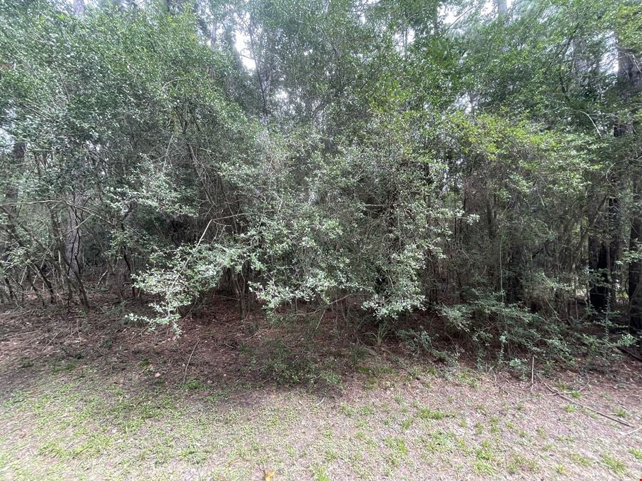 10ac in Magnolia/The Woodlands